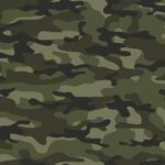 ارتشی